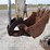 bobcat-322-image-9