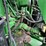 2010-john-deere-9530-image-19