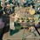 caterpillar-3208-image-5