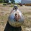 1961-500-gallon-propane-tank-image-4
