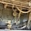 2012-claas-lexion-750tt-image-24