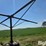 west-pt-design-shade-all-livestock-shade-image-11
