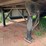 2013-stoughton-trailer-image-8