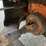 fiat-605-image-50