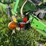 john-deere-980-image-15
