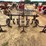 114---2---row-cultivator-tool-bar-image-5