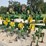john-deere-rm-image-2
