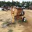 206---stone-motor-mixer-with-gas-engine-image-2