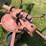 new-holland-163--2-basket-tedder-image-9