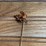 (2)-john-deere-straight-pins-image-4