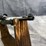 #4452-•-ruger-model-10/22-22-lr-semi-auto-rifle,-sn:-0027-10619-image-4