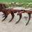 case-513-7-shank-v-ripper-image-1