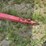 ez-trail-1384-image-20