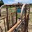for-most-cattle-chute-image-14