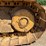 caterpillar-d3g-lgp-image-21