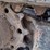 2012-caterpillar-300.9d-image-34