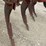 ih-7-shank-deep-ripper-image-3