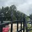 two-8-foot-gates-with-tree-cut-out-image-4