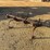 2196---chisel-plow-image-4