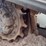2020-bobcat-t595-image-30