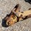 #20858-•-amco-10ft-disc-plow-image-9