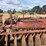 case-ih-480-image-23