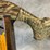 #4442-•-franchi-affinity-3.5-12-ga.-semi-auto-shotgun,-sn:-bp51353a-image-20