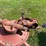 new-holland-163--2-basket-tedder-image-8