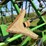 john-deere-980-image-17
