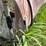 #26630-•-~2600gal-fuel-tank-128260-image-10