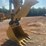 2021-caterpillar-313-image-10