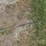 2023-case-sv280b-image-56