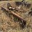 #26628-•-8'-levee-butt-blade-image-3