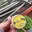 snowco-grain-cleaner-image-8