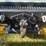 2019-international-durastar-4300-image-13