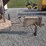 2017-finn-bb302-image-7