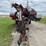 case-ih-1240-image-2