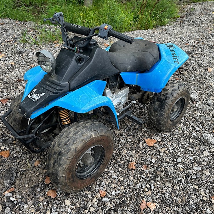 ZEBRA INTERNATIONAL YOUTH ATV
