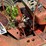 10803---belaruse-nortrac-250a-parts-tractor-(sn#-563816)-image-9