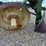 #20857-•-4-bottom-john-deere-plow-3-point-hitch-image-15