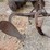 #20730-•-2-bottom-plow-image-6