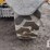 2015-caterpillar-tl943c-image-21