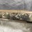 #4456-•-winchester-xpr-300-win-mag-bolt-action-rifle,-sn:-pt09578yw357-image-20