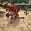 122---1---row-covington-planter-image-2