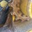 caterpillar-239d-image-12