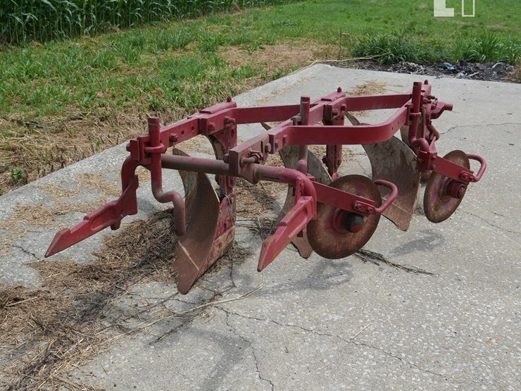 international-3-image-1