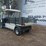 carry-all-golf-cart-w/dump-bed-runs/moves-image-5