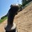 #20718-•-2022-bobcat-e42-excavator-image-38