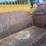 caterpillar-60-image-9