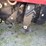 2002-massey-ferguson-8780-image-12